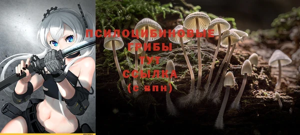 кокаин Алзамай